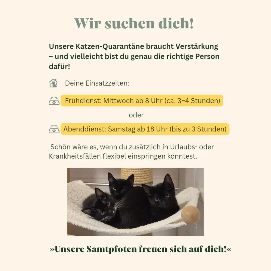 Mitarbeit Quarantäne