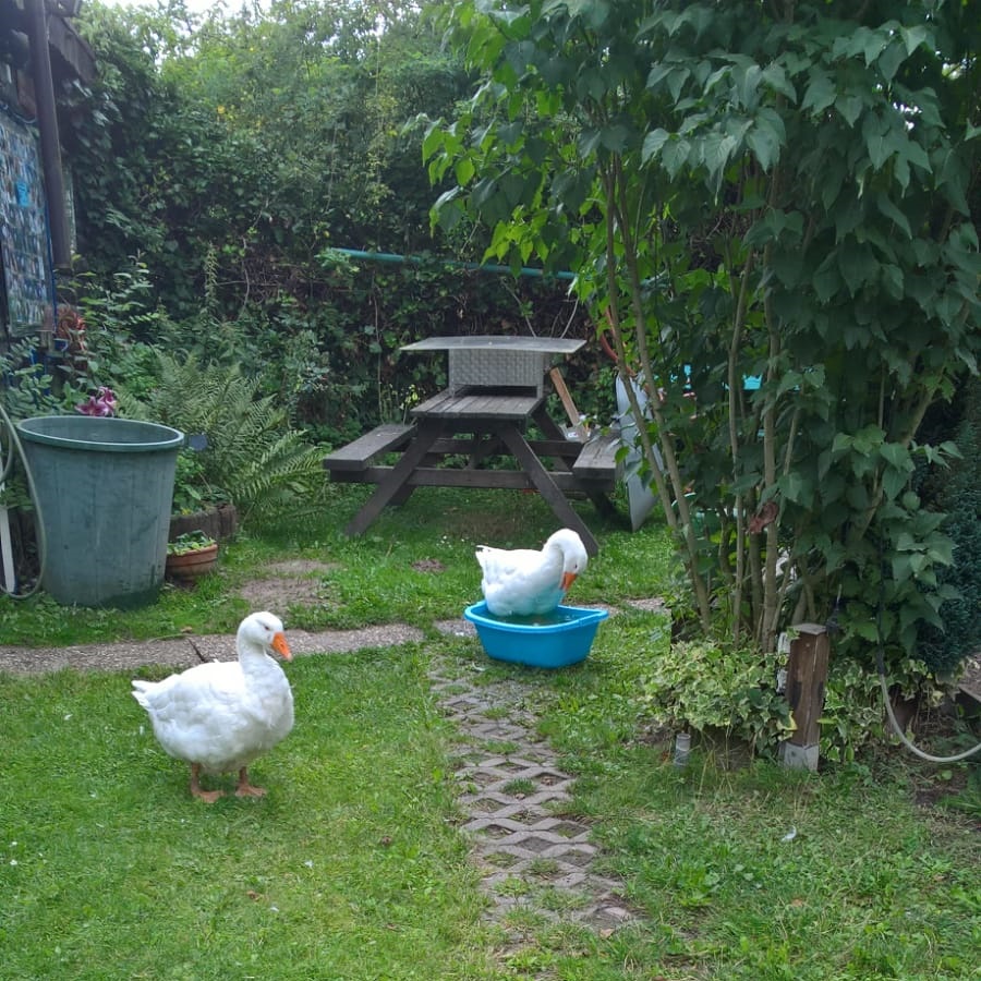 Gnadengarten 3