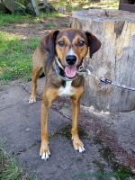 Buster_2