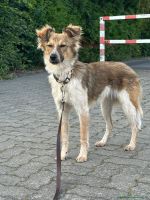 Nemo_32