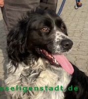 Ofelia