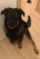 Toivo_22