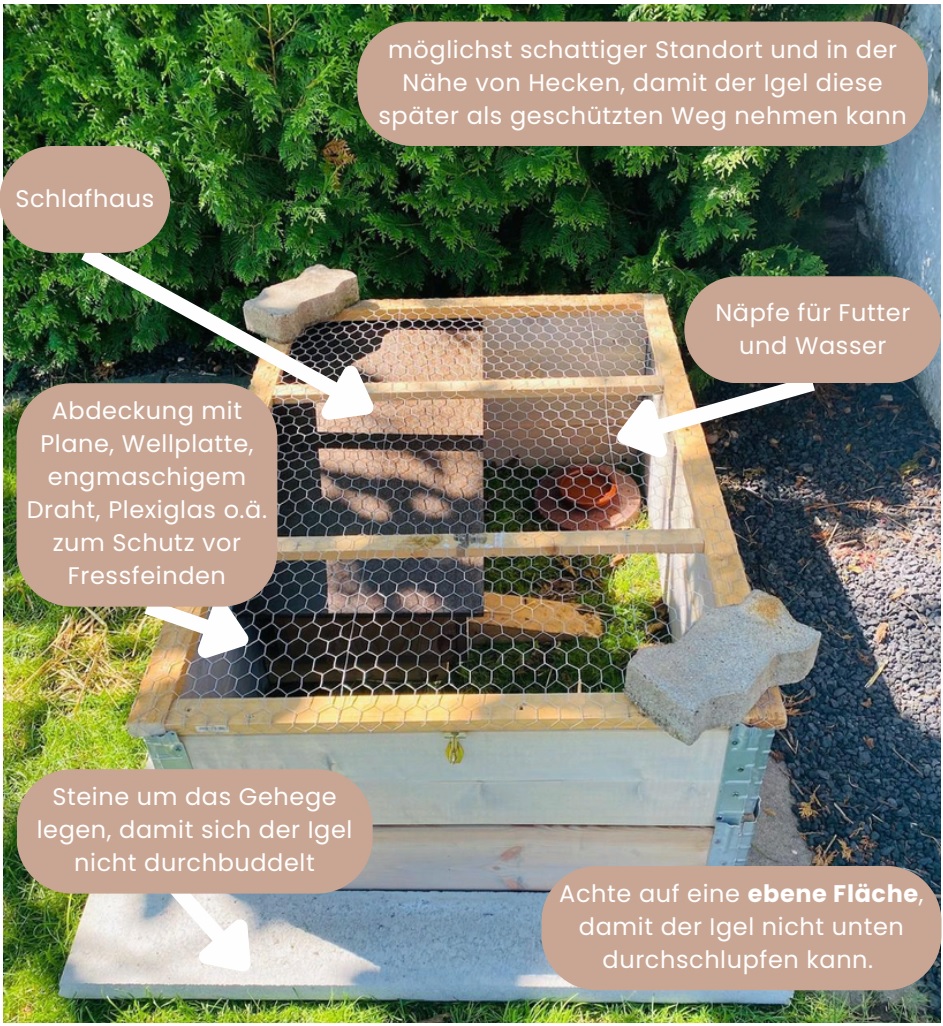 IgelGehege