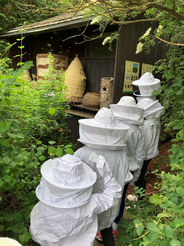 Jg Bienen 5