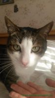 Filou_1