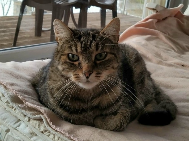 Felix