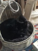 Mausi_31
