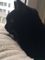 Mausi_3