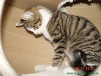 Mike_5