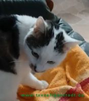 Nadira_31